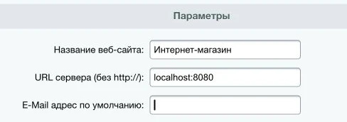 Поля названия веб-сайта, URL сервера и пустое поле «E-Mail адрес по умолчанию» в настройках сайта Битрикса.